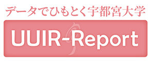 UUIR-Report